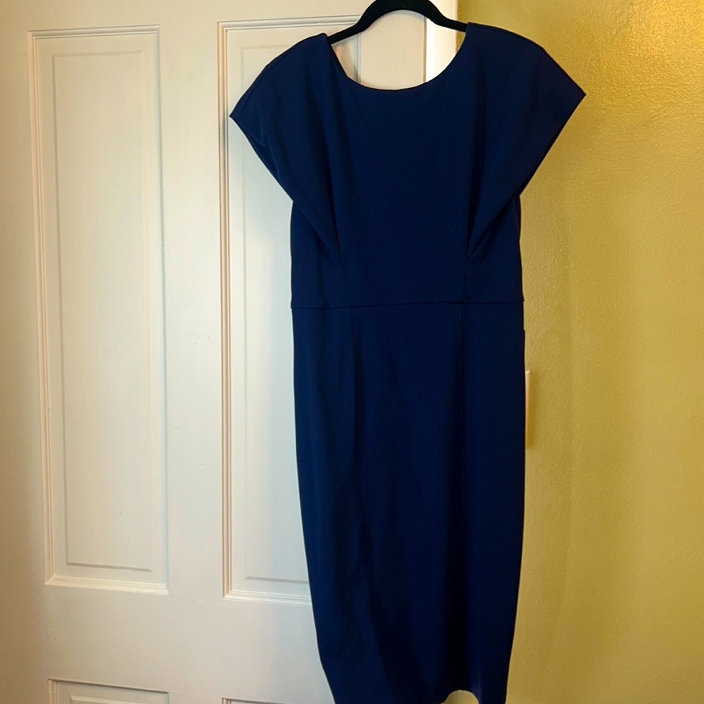 Express blue dress